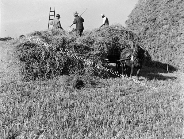 MEN HARVESTING